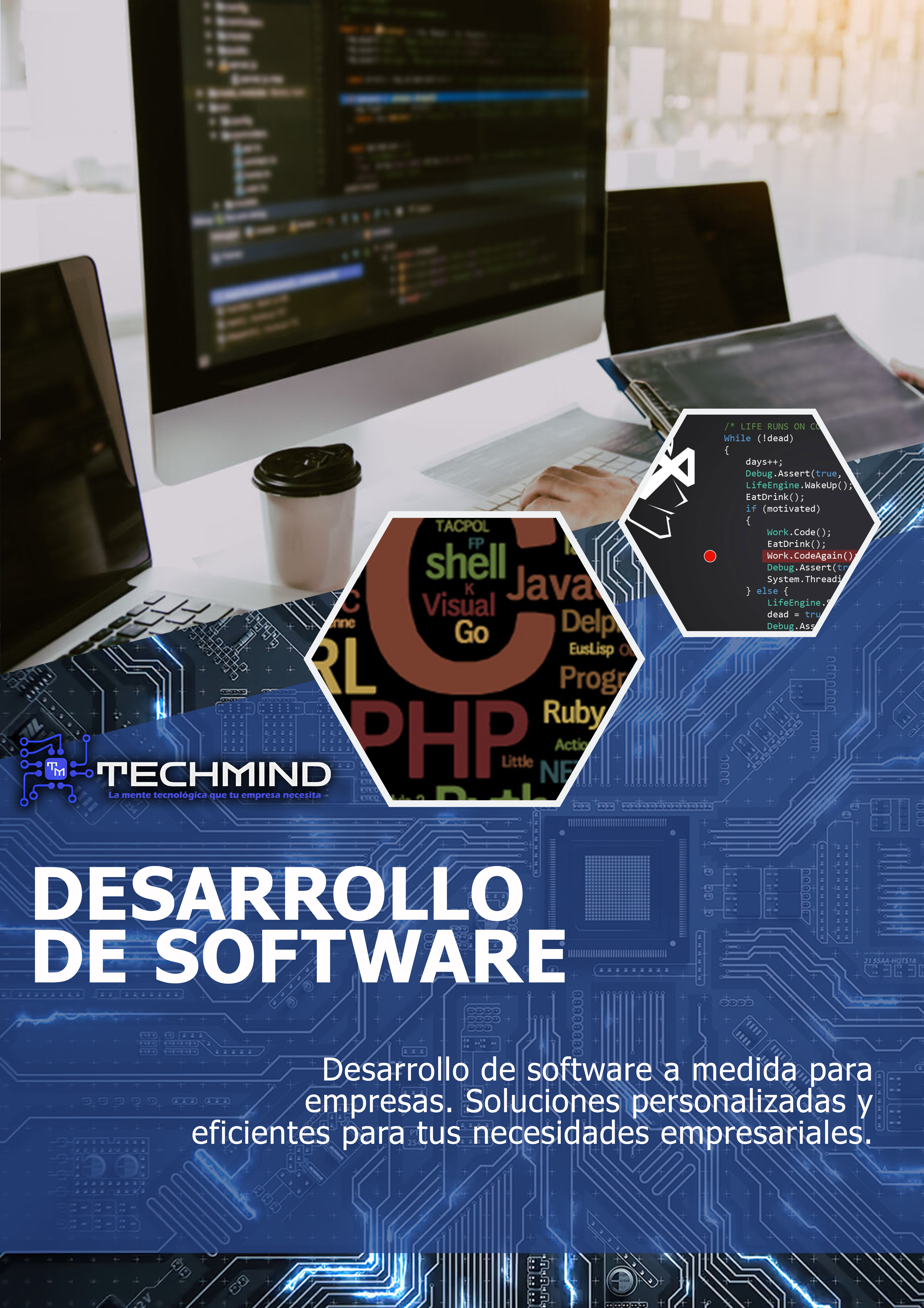 Desarrollo de software