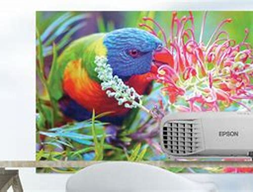 PROYECTOR EPSON POWERLITE 119W, 4000LUM, WXGA ( 1280 X 800 )